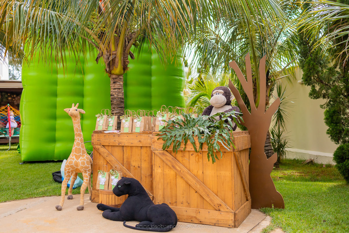 aniversário infantil em bauru, fotógrafo festa infantil em bauru, festa em lugar aberto, festa tema safari de menino, decoração tema safari