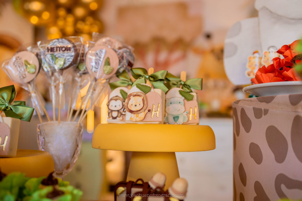 aniversário infantil em bauru, fotógrafo festa infantil em bauru, festa em lugar aberto, festa tema safari de menino, decoração tema safari, doces personalizados tema safari