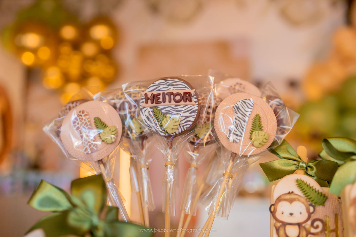 aniversário infantil em bauru, fotógrafo festa infantil em bauru, festa em lugar aberto, festa tema safari de menino, decoração tema safari, doces personalizados tema safari