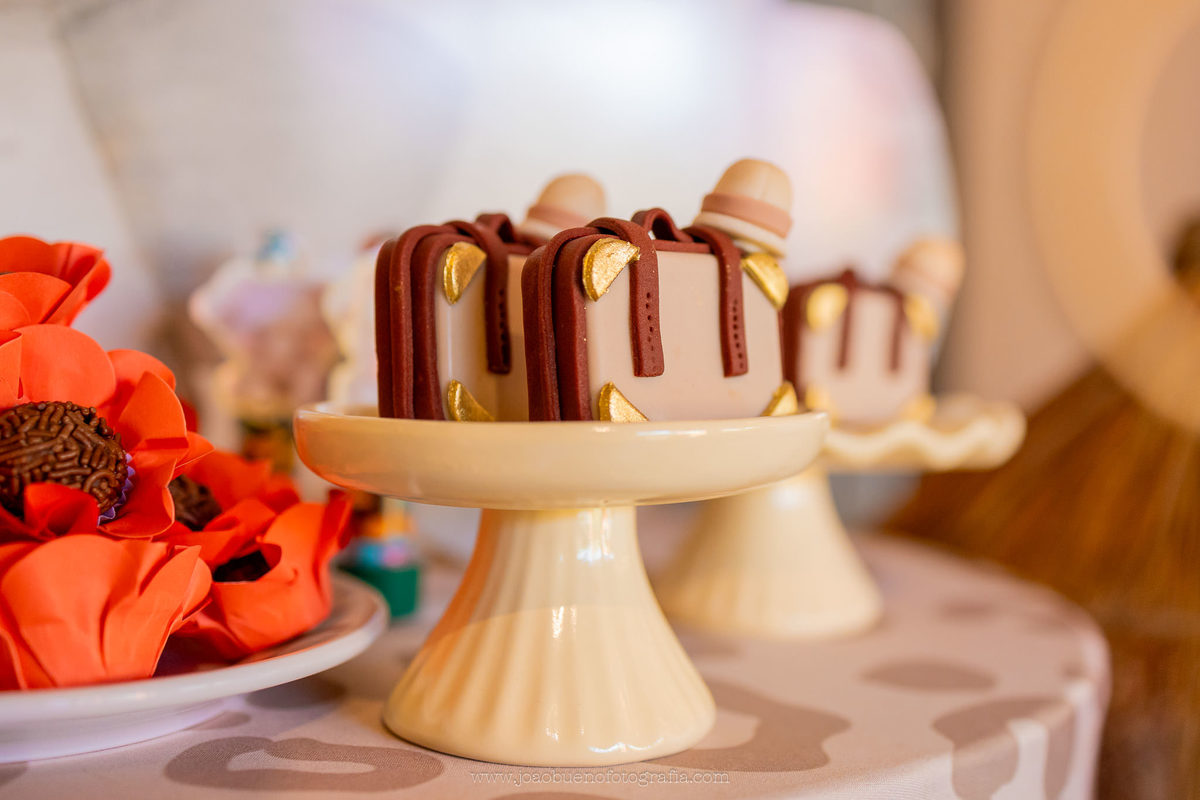 aniversário infantil em bauru, fotógrafo festa infantil em bauru, festa em lugar aberto, festa tema safari de menino, decoração tema safari, doces personalizados tema safari