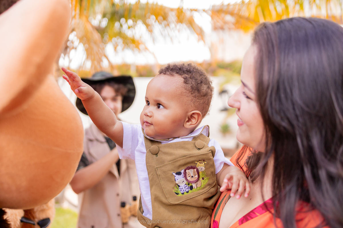 aniversário infantil em bauru, fotógrafo festa infantil em bauru, festa em lugar aberto, festa tema safari de menino, decoração tema safari