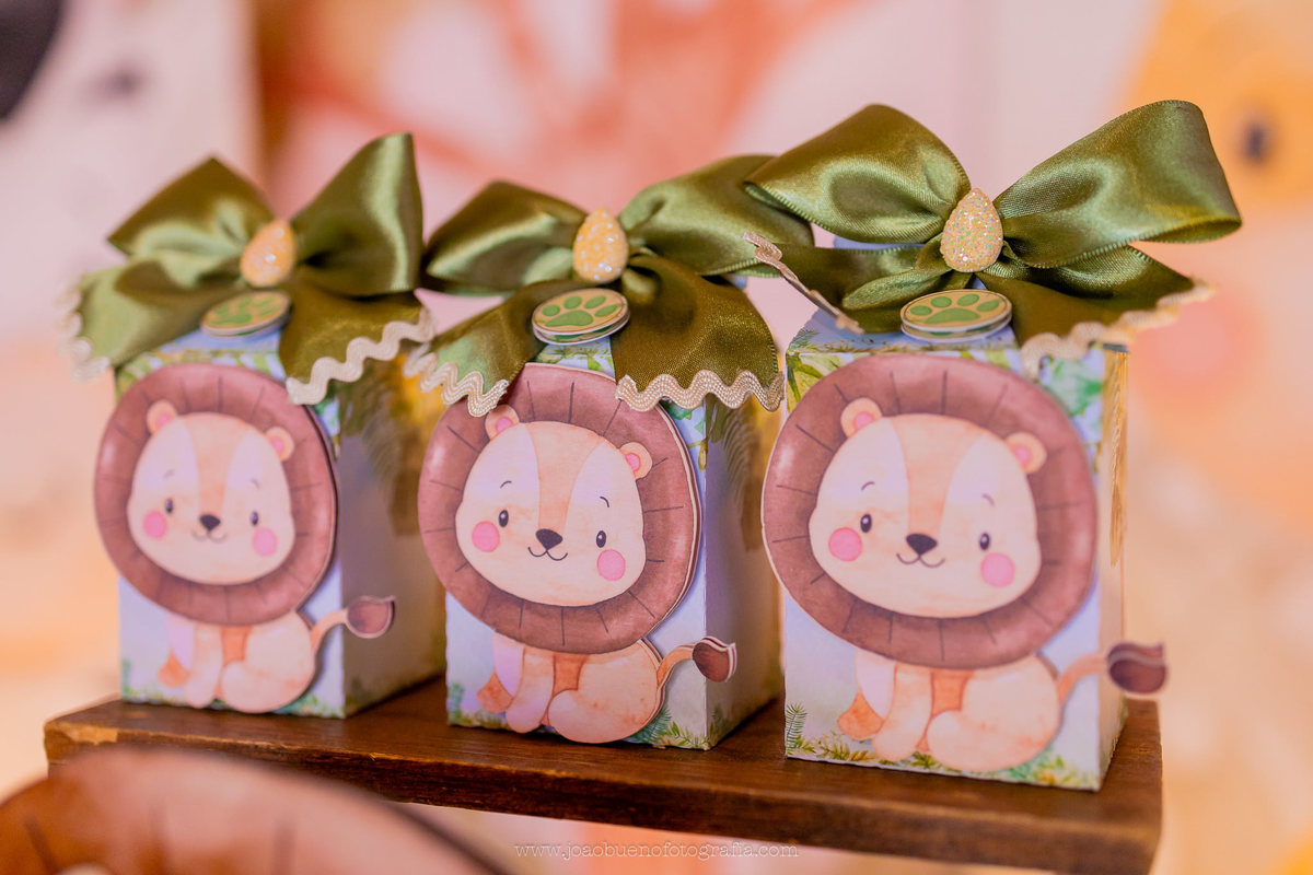 aniversário infantil em bauru, fotógrafo festa infantil em bauru, festa em lugar aberto, festa tema safari de menino, decoração tema safari, papelaria personalizada tema safari