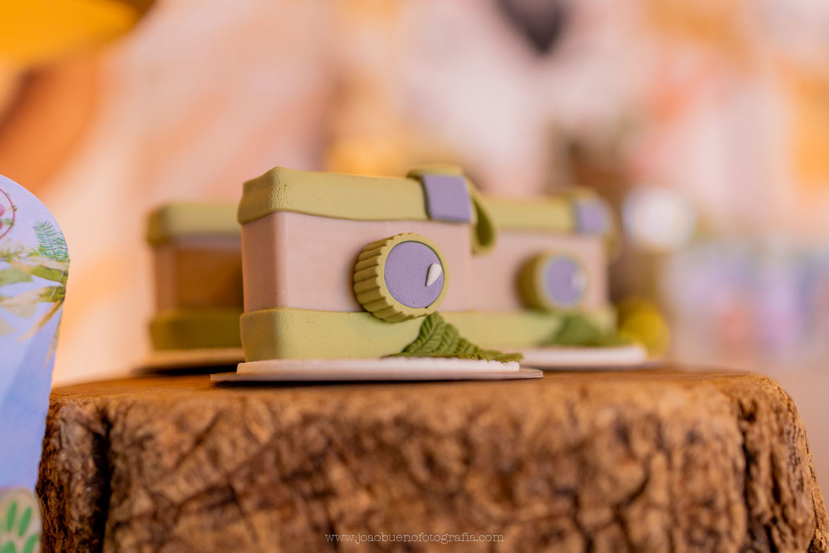 aniversário infantil em bauru, fotógrafo festa infantil em bauru, festa em lugar aberto, festa tema safari de menino, decoração tema safari, doces personalizados safari