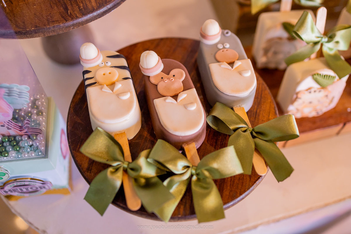 aniversário infantil em bauru, fotógrafo festa infantil em bauru, festa em lugar aberto, festa tema safari de menino, decoração tema safari, doces personalizados safari