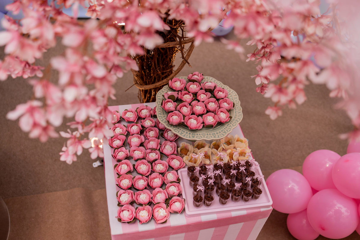Márcia & Marô Recepções Bauru, fesya infantil Márcia & Marô, aniversário tema balão mágico, fotografo bauru, Beatris de michelli bauru