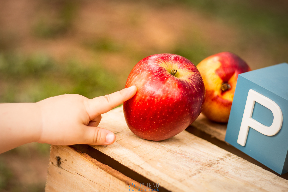 Ensaio Smash the fruit - Detalhes, maça, decoração e muito mais Smash the fruit bauru, jardim botanico bauru, ensaio infantil bauru, ensaio em família bauru, 