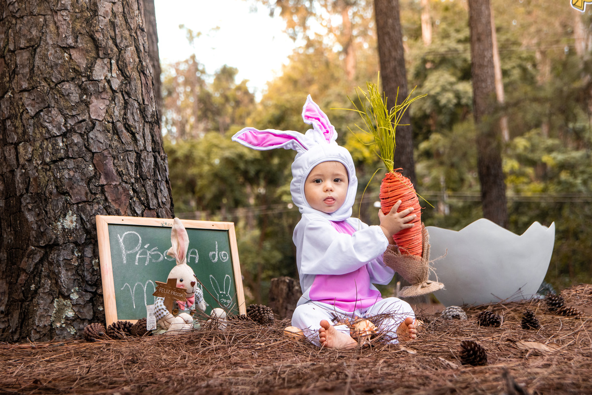 Ensaio de páscoa, ensaio de páscoa com nenê de 1 ano, cenoura para ensaio de páscoa