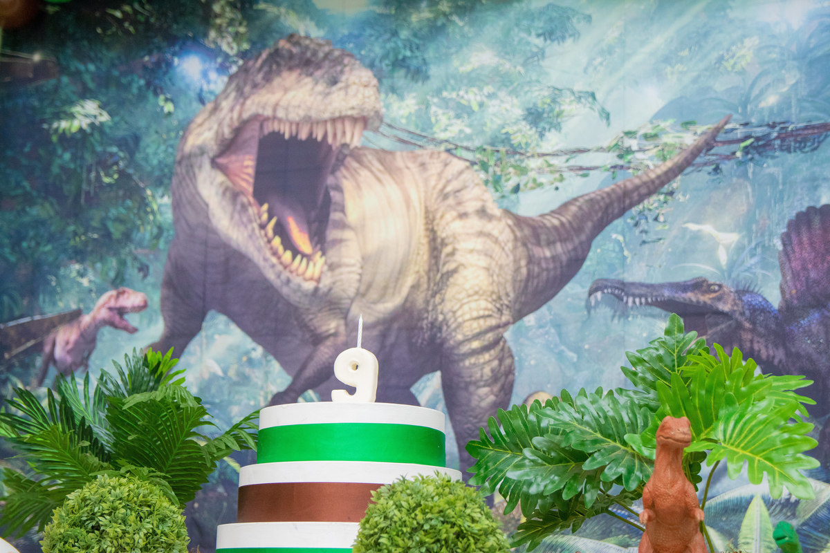 Decoração completa Dinossauros