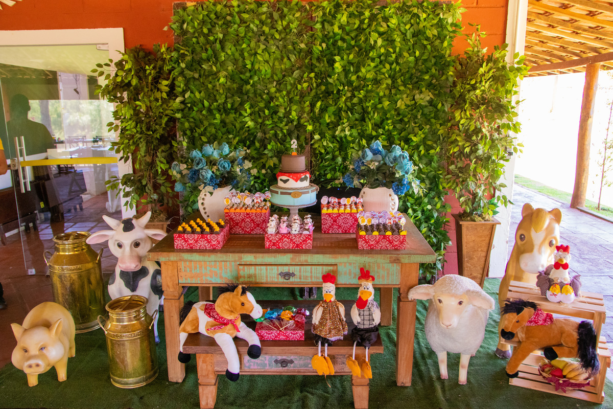 Decoração fazendinha 