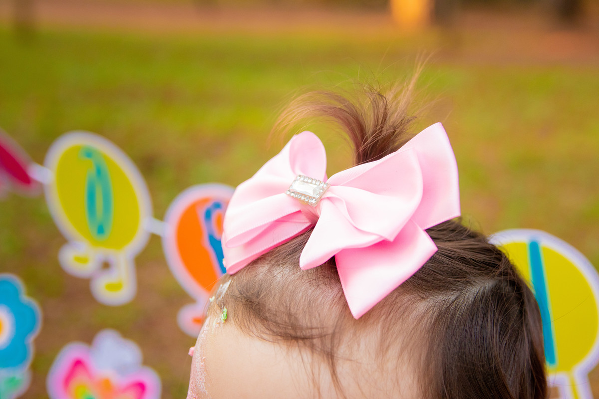 Horto Florestal Bauru, Ensaio smash the cake, laço de menina