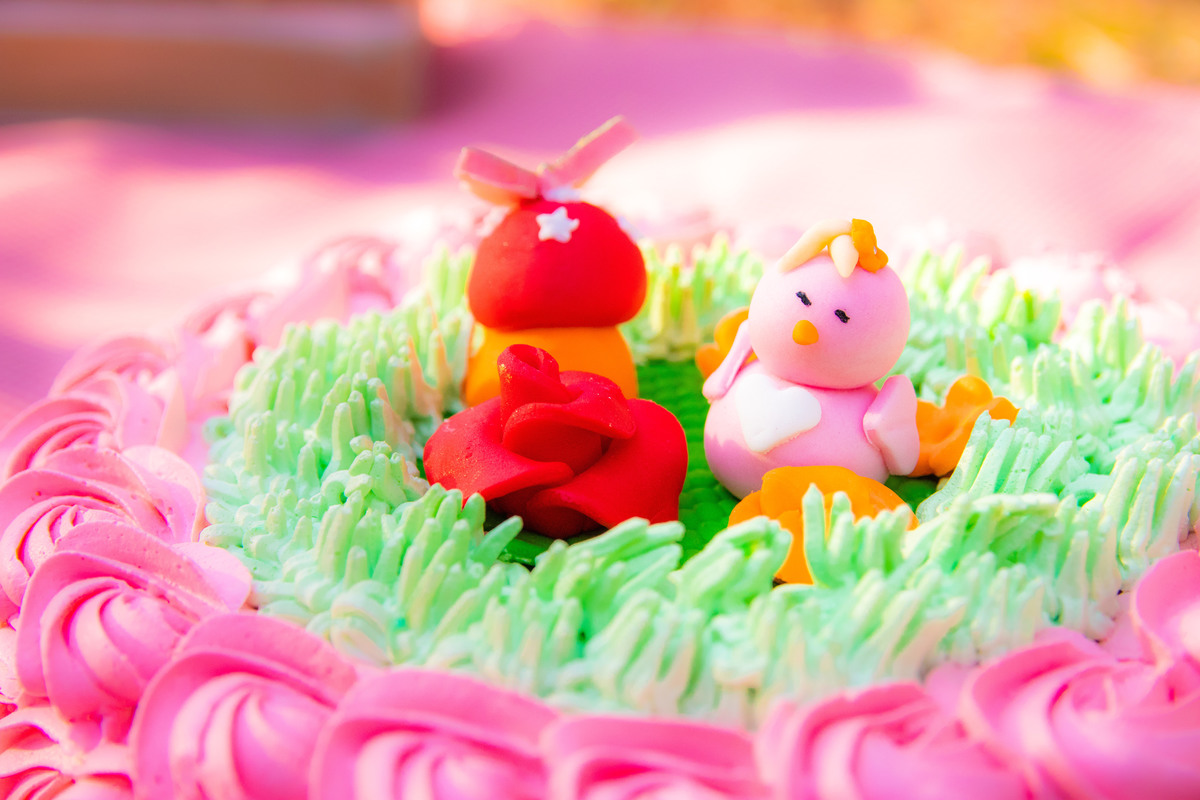 Horto Florestal Bauru, Bolo smash the cake para menina