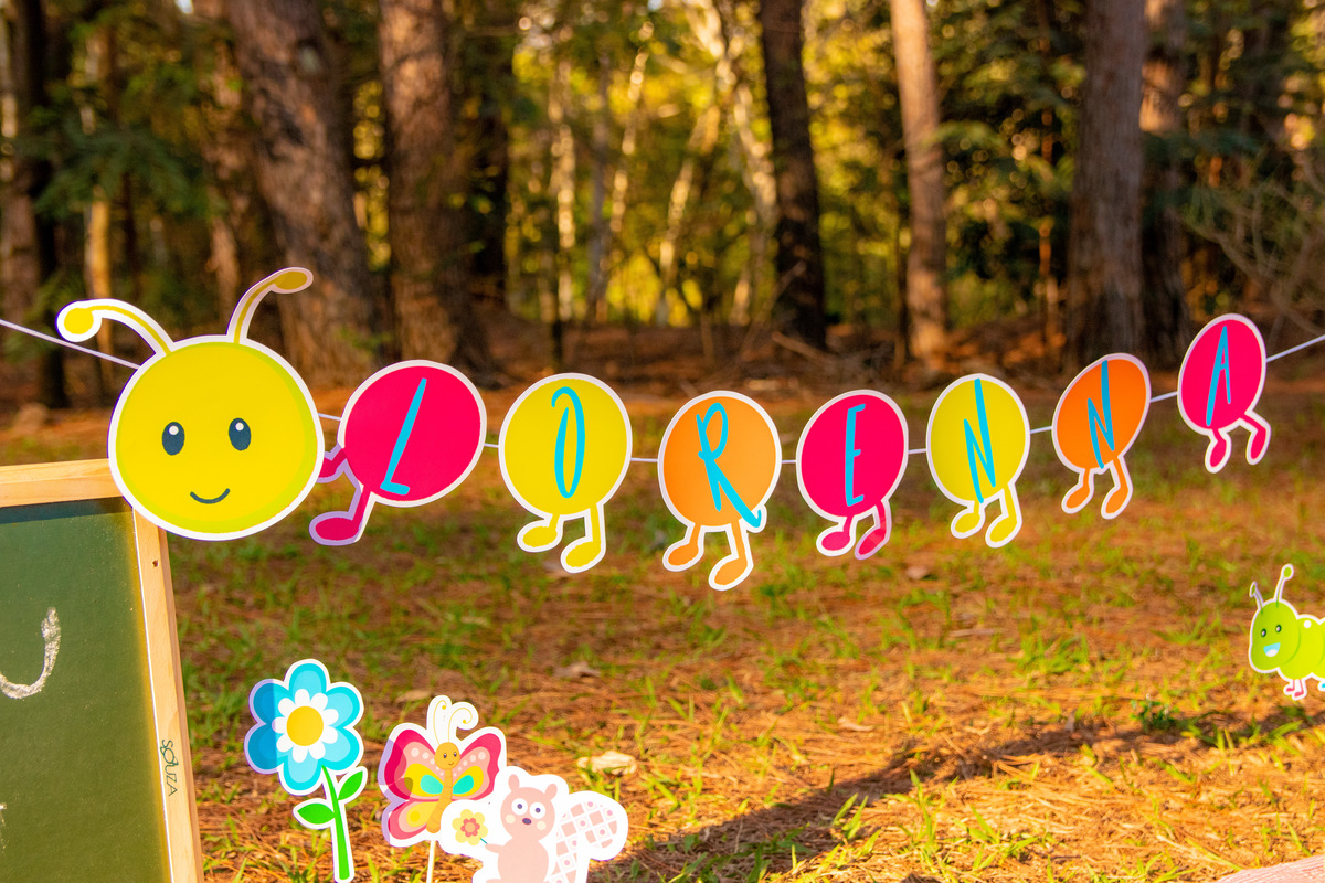 Horto Florestal Bauru, Cenário personalizado para ensaio smash the cake de menina