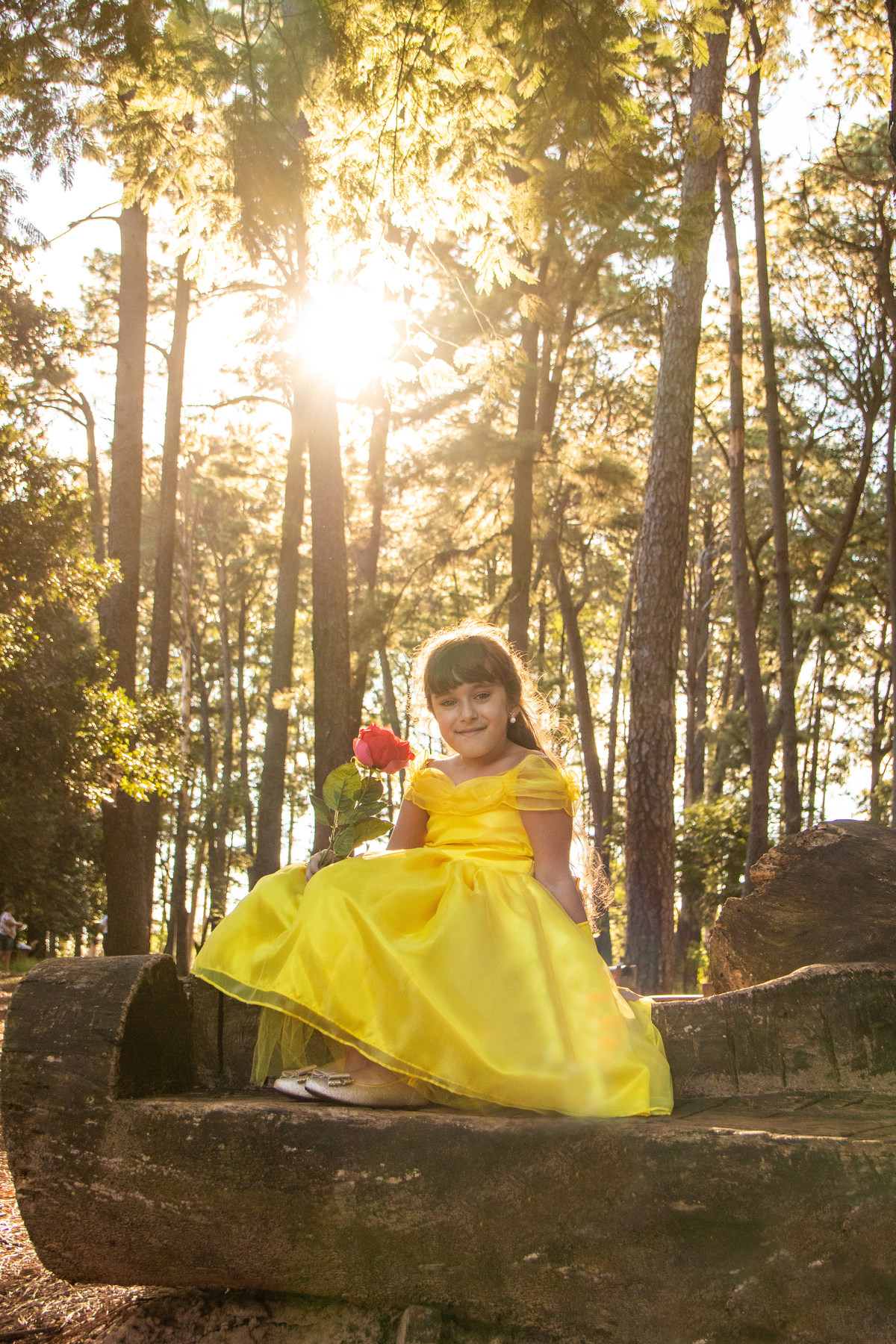 horto florestal bauru, Ensaio infantil tema a Bela e a Fera, ensaio na floresta