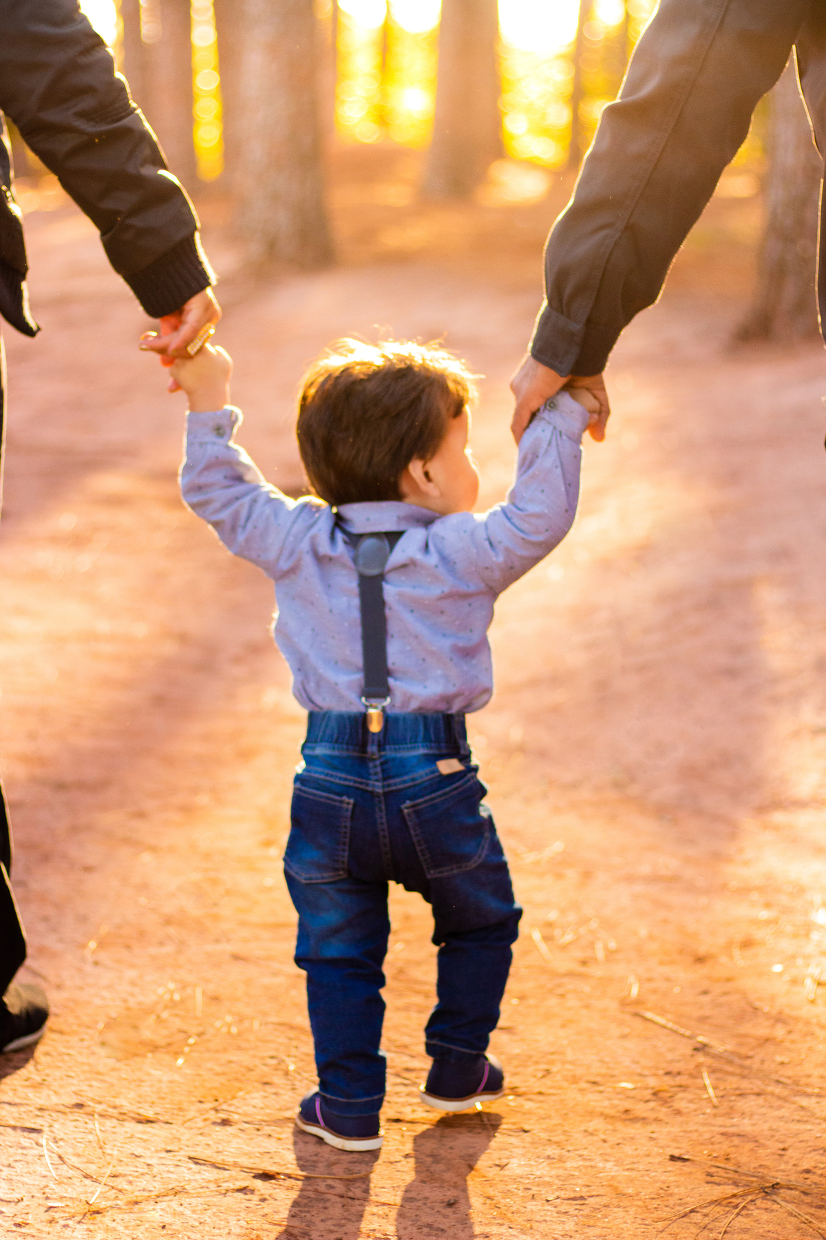horto florestal de bauru, ensaio em familia, ensaio externo em familia, ensaio com bebe de 1 ano, nene caminhando com seus pais