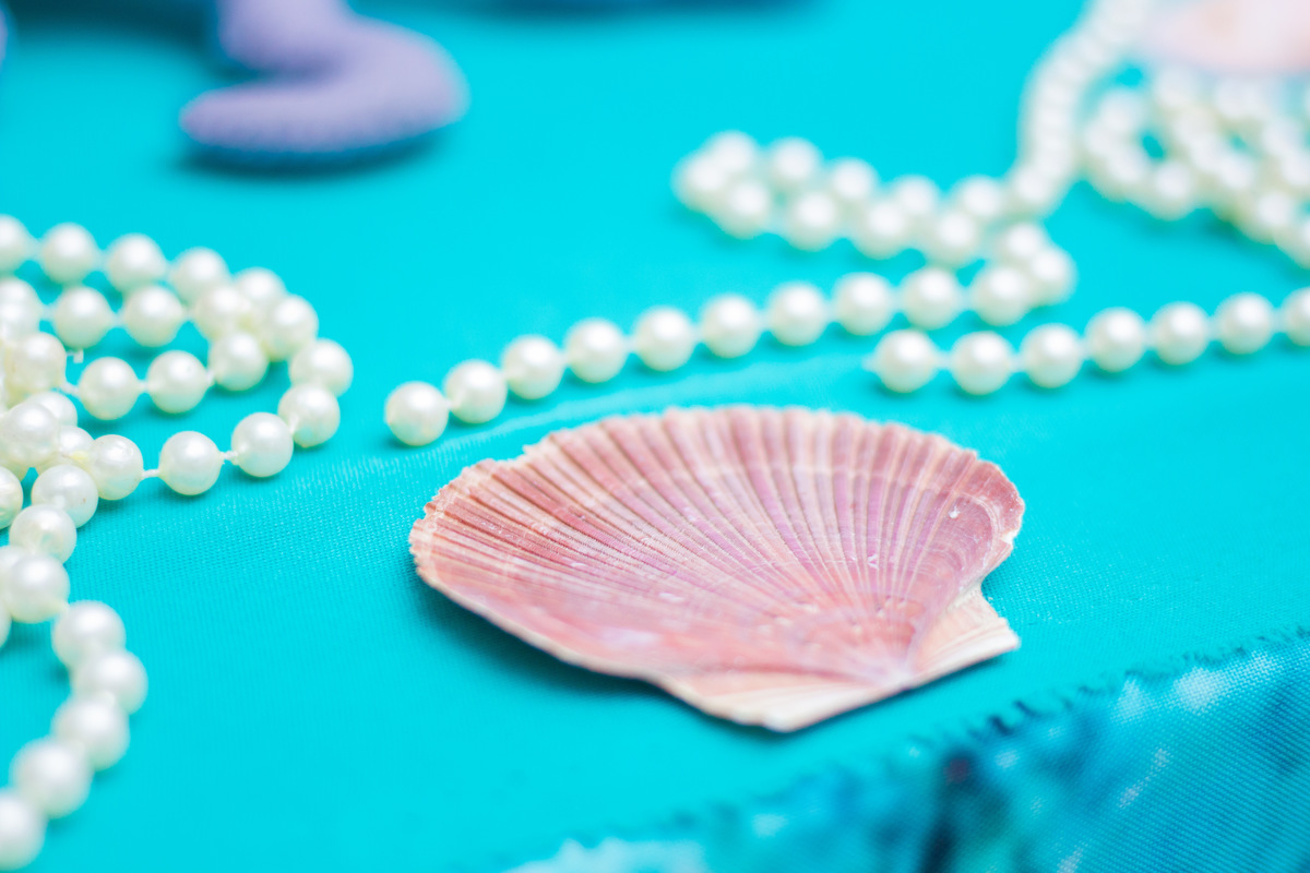 buffet biscoito bauru, buffet infantil bauru, aniversário infantil bauru, concha para decoração