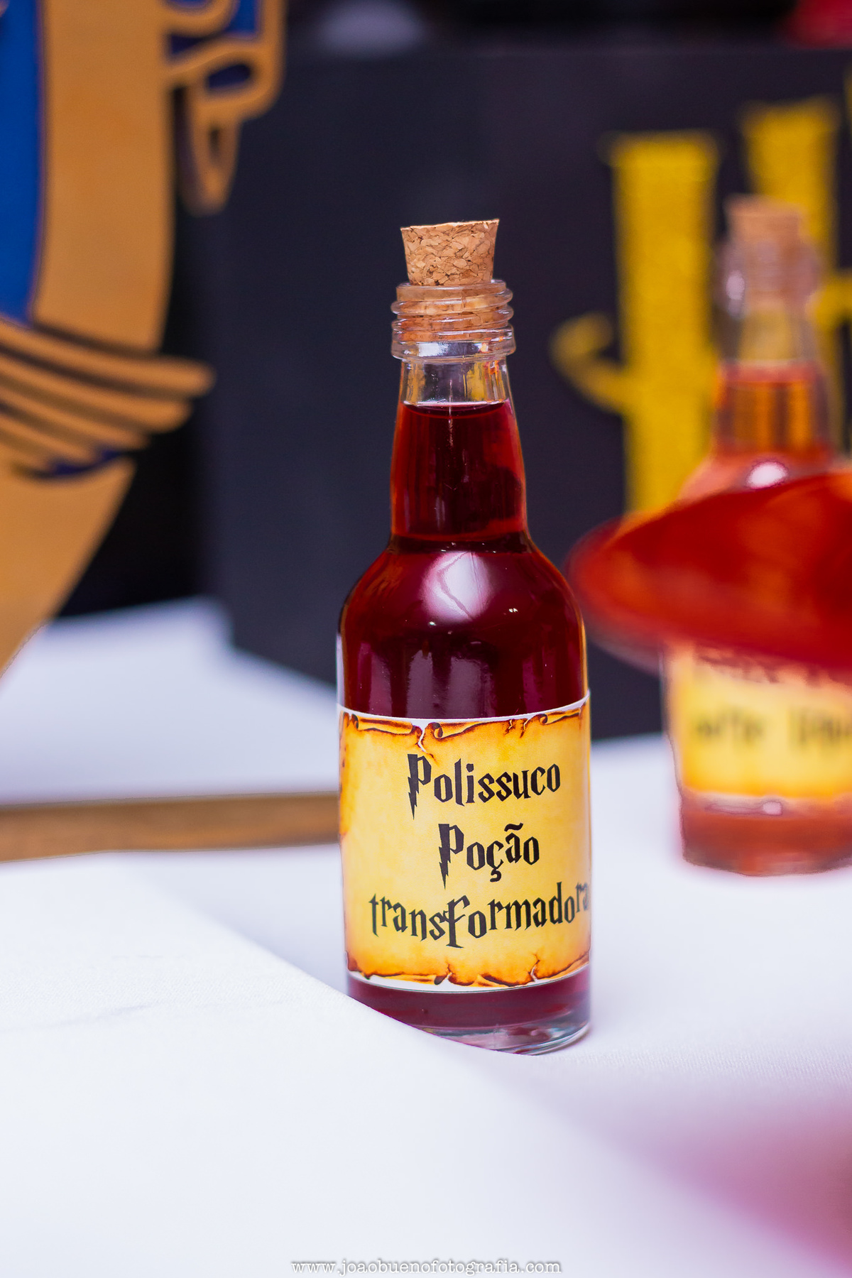 Buffet infantil Jardim das Festas, buffet infantil bauru, aniversário tema harry potter, poção polissuco harry potter