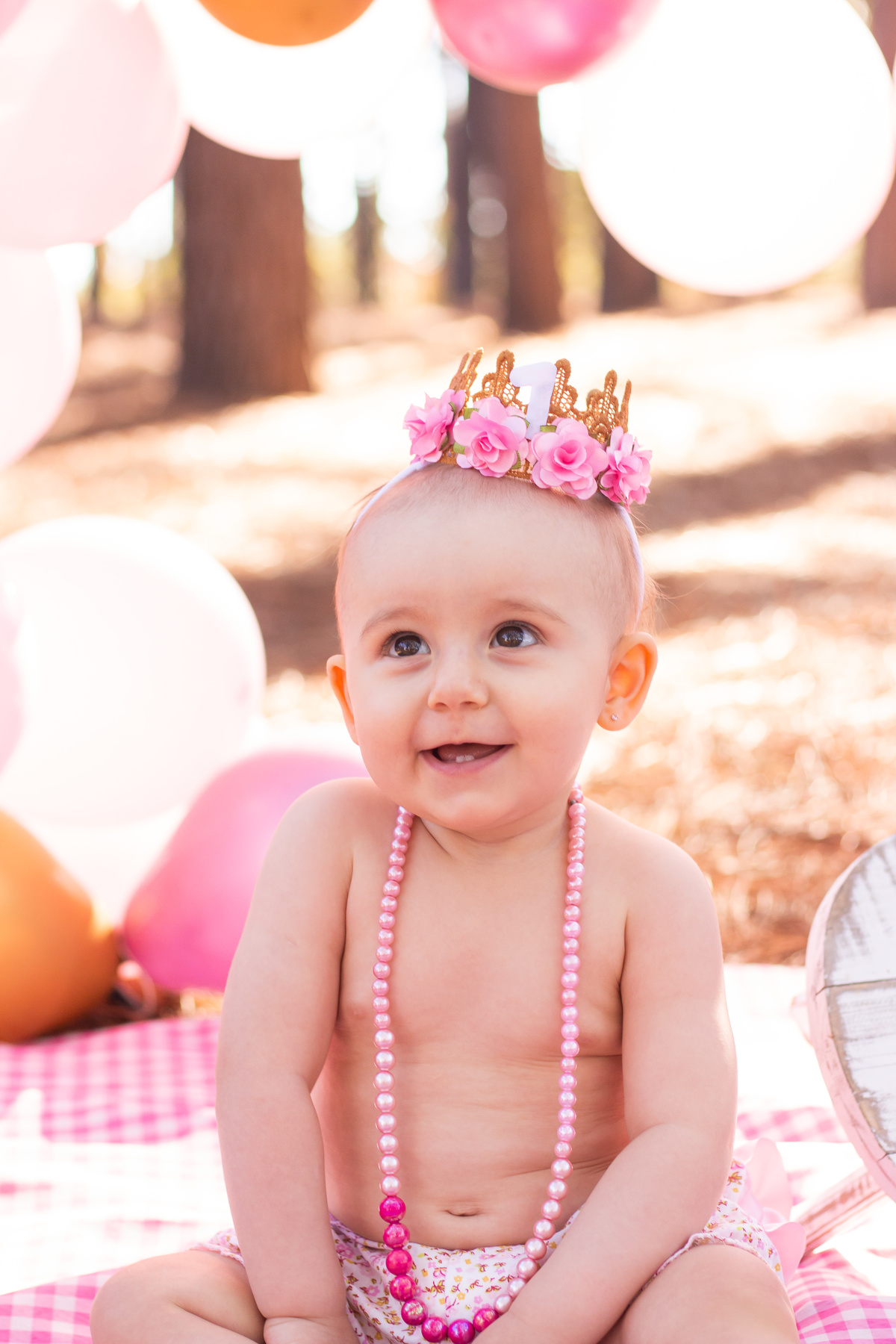 Ensaio smash the cake luxo, horto florestal bauru, ensaio infantil em bauru, ensaio pré aniversário bauru, arco de bexigas de luxo, bebê sorrindo com dentinhos