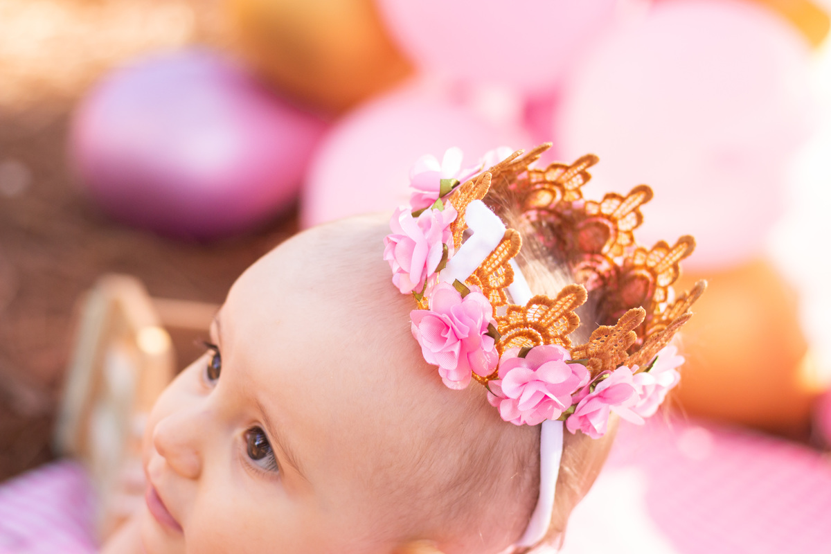 Ensaio smash the cake luxo, horto florestal bauru, ensaio infantil em bauru, ensaio pré aniversário bauru, arco de bexigas de luxo, coroa de flores para bebê