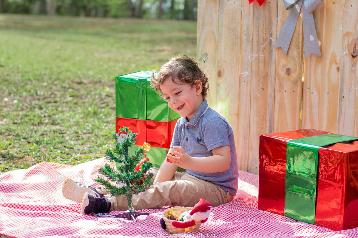 Mini ensaio de natal em bauru, mini ensaio natalino, ensaio de natal externo, ensaio natalino externo, horto florestal de bauru, criança brincando com árvore de natal