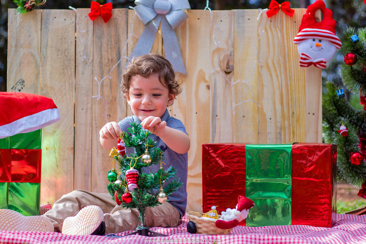 Mini ensaio de natal em bauru, mini ensaio natalino, ensaio de natal externo, ensaio natalino externo, horto florestal de bauru, menino brincando com árvore de natal