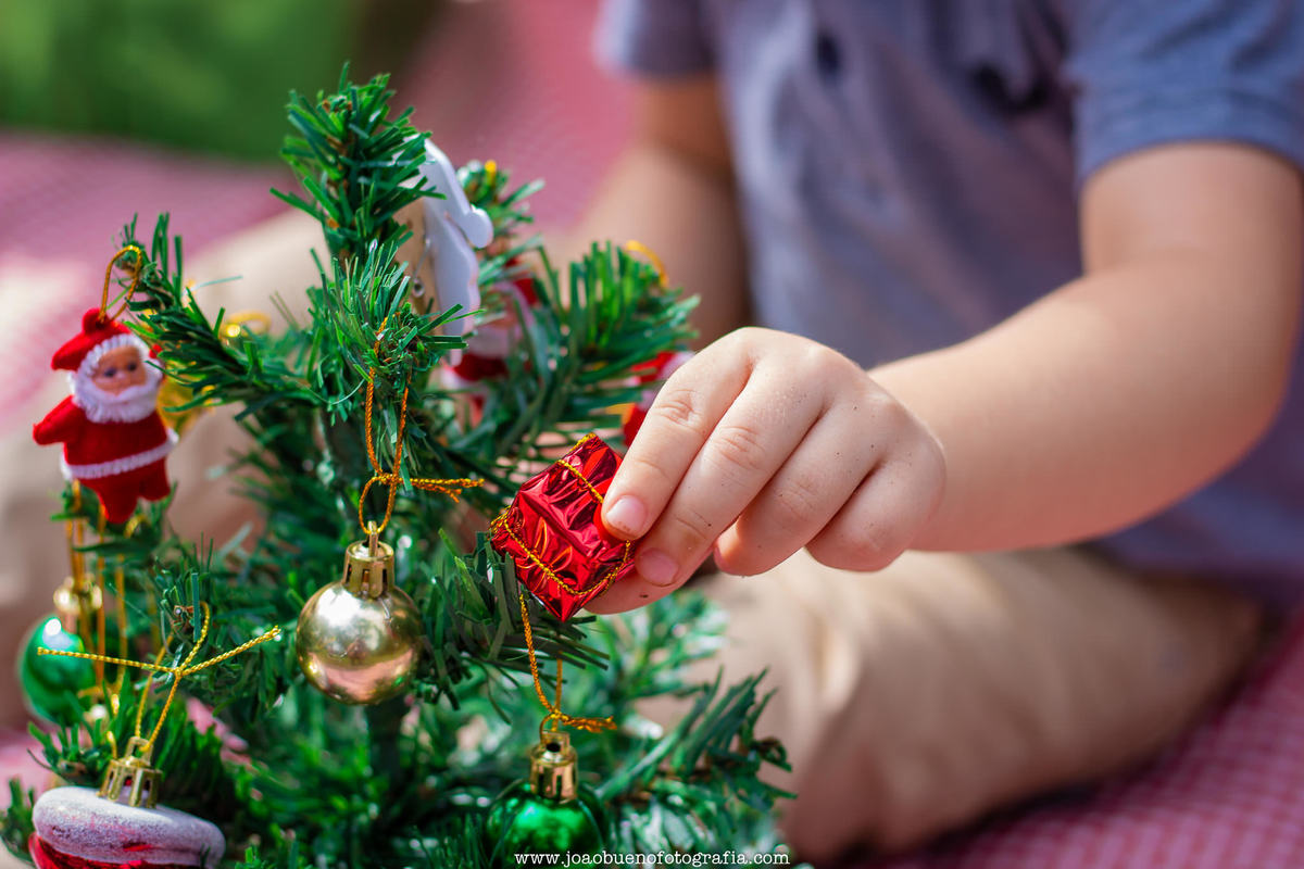 Mini ensaio de natal em bauru, mini ensaio natalino, ensaio de natal externo, ensaio natalino externo, horto florestal de bauru, mini árvore de natal