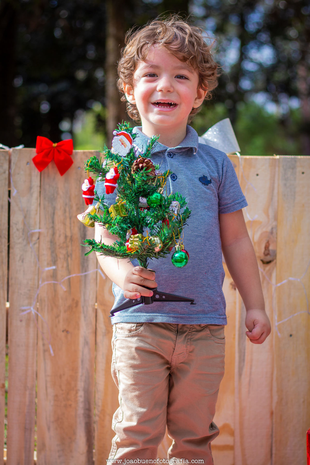 Mini ensaio de natal em bauru, mini ensaio natalino, ensaio de natal externo, ensaio natalino externo, horto florestal de bauru, criança mostrando sua árvore de natal