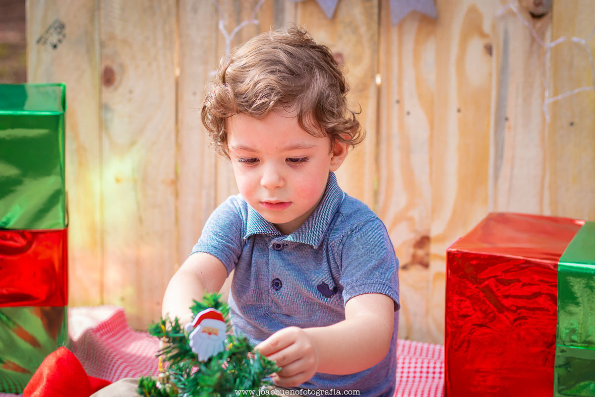 Mini ensaio de natal em bauru, mini ensaio natalino, ensaio de natal externo, ensaio natalino externo, horto florestal de bauru, menino montando árvore de natal