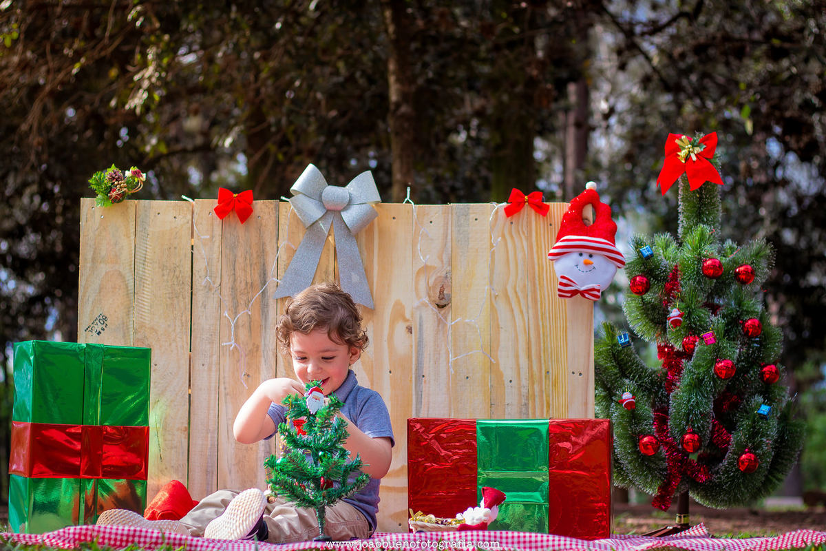 Mini ensaio de natal em bauru, mini ensaio natalino, ensaio de natal externo, ensaio natalino externo, horto florestal de bauru, criança sorrindo e montando sua árvore de natal