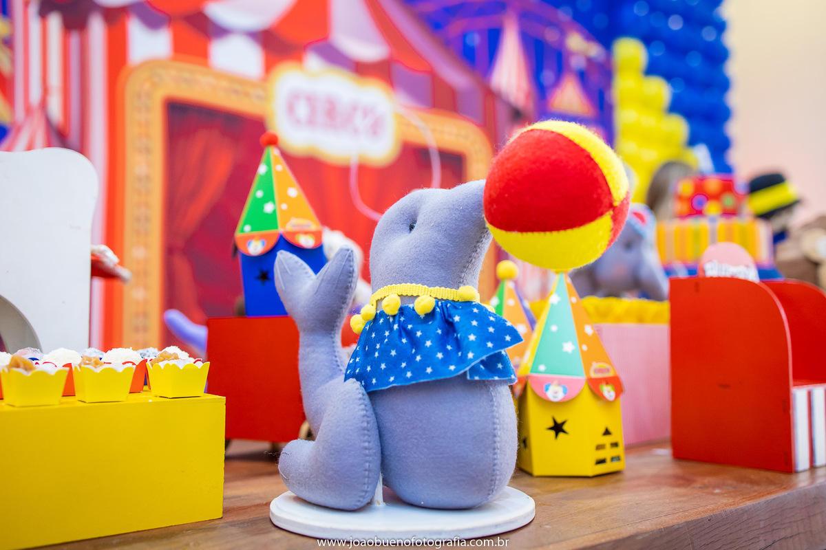 Looping buffet infantil em bauru, decoração circo. fotógrafo em bauru, joão bueno fotografia, golfinfo em feltro