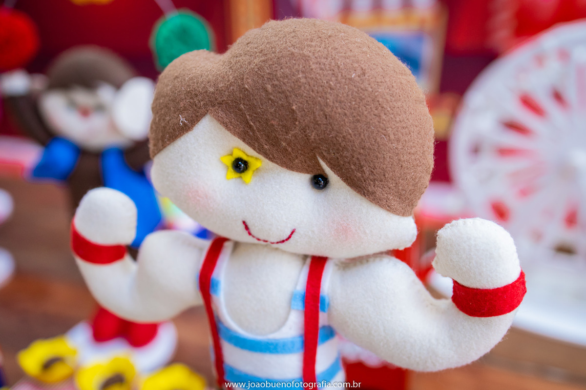 Looping buffet infantil em bauru, decoração circo. fotógrafo em bauru, joão bueno fotografia, boneco em feltro tema circo