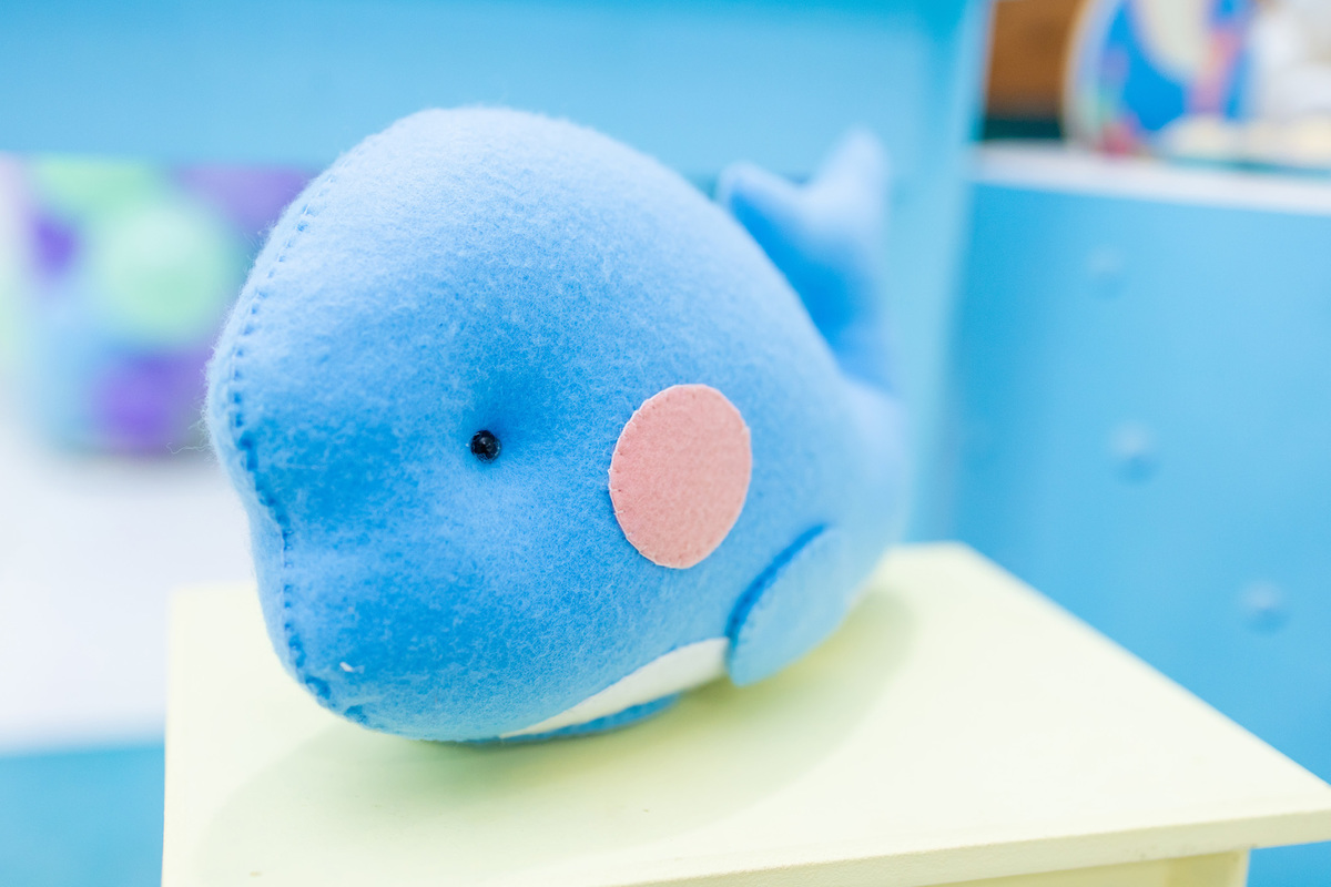 infantil, fotografia de família, festa infantil, buffet infantil, decoração para aniversário infantil, doces personalizados, fotografo em bauru