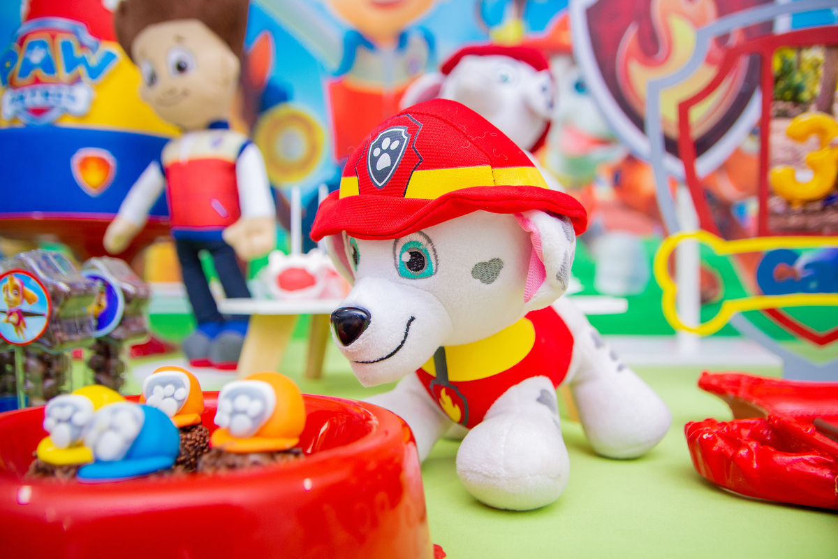 Aniversário infantil em bauru, buffet infantil em bauru, fotografo para aniversário em bauru, fotografo lifestyle em bauru, fotografo de família em bauru, buffet infantl em bauru, festa patrulha canina