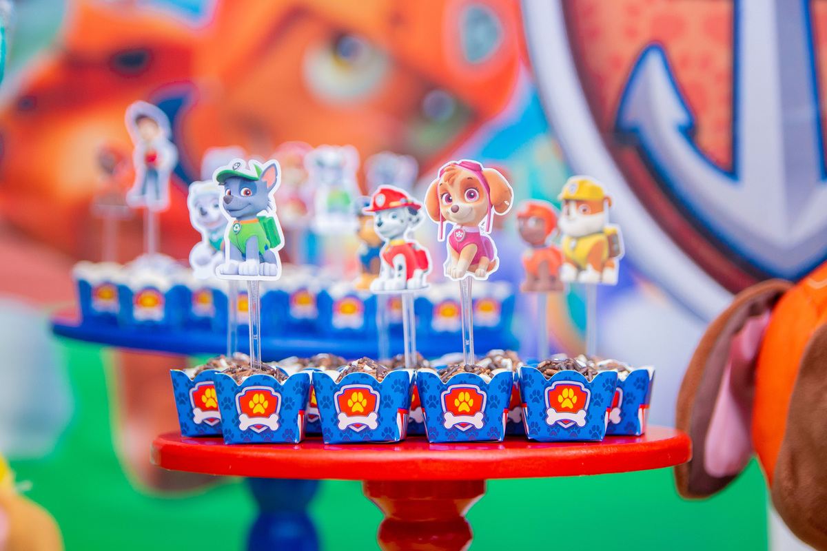 Aniversário infantil em bauru, buffet infantil em bauru, fotografo para aniversário em bauru, fotografo lifestyle em bauru, fotografo de família em bauru, buffet infantl em bauru, decoração patrulha canina em bauru