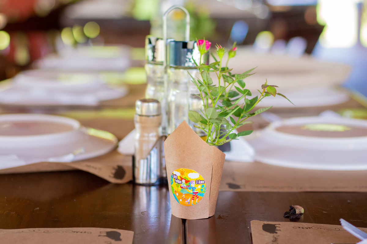 fotografo lifestyle em bauru, fotografia espontanea em bauru, fotografo de familia em bauru, fotografo de aniversário em bauru, aniversário infantil em bauru, aniversário ao ar livre