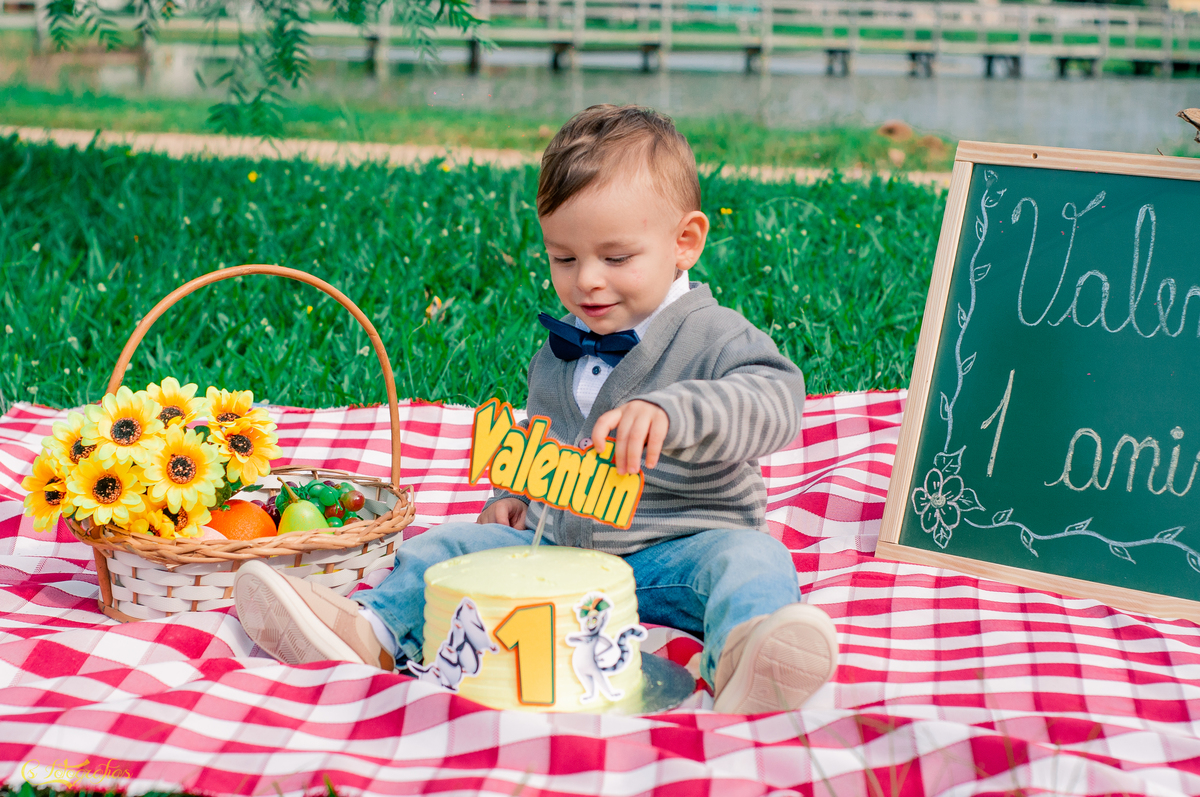 Ensaio Fotográfico Infantil de Smach The Cake no Lago Municipal de Arroio dos Ratos - Valentim