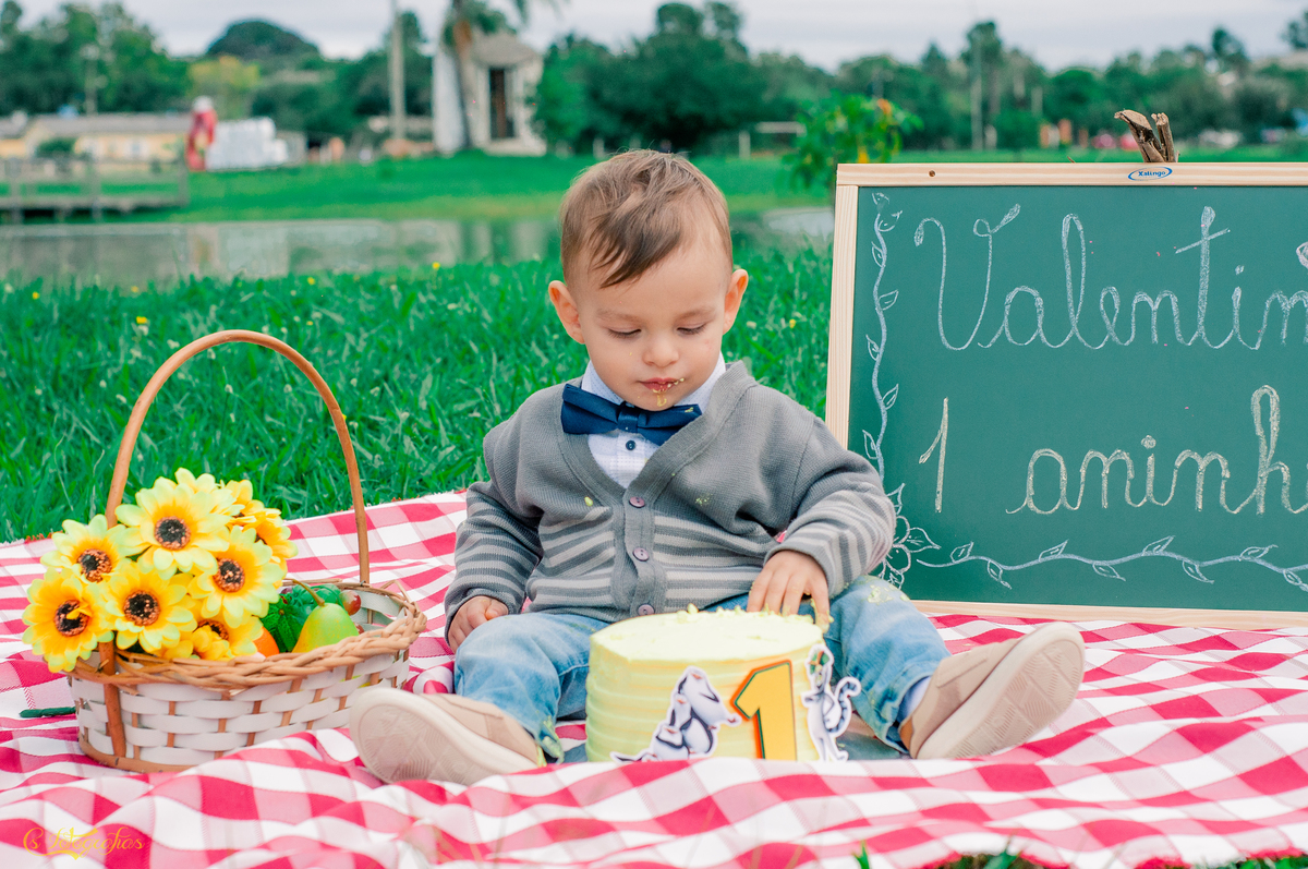 Ensaio Fotográfico Infantil de Smach The Cake no Lago Municipal de Arroio dos Ratos - Valentim