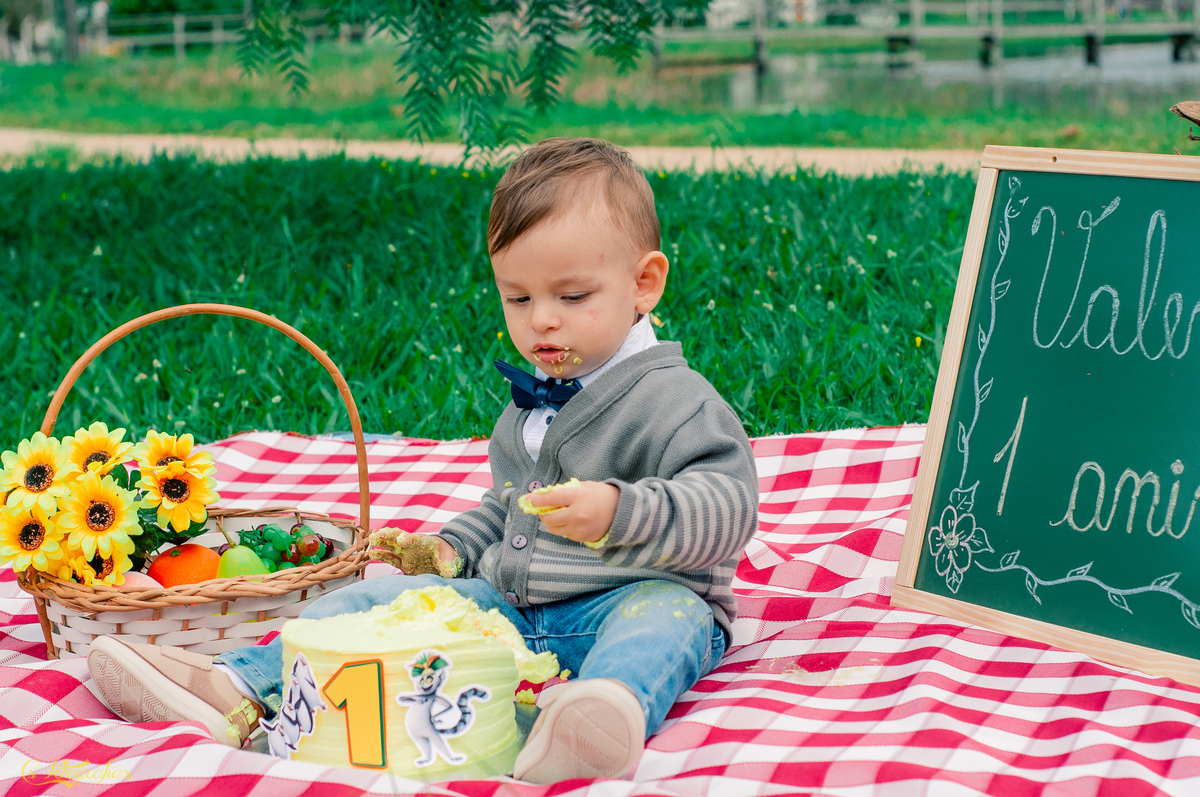 Ensaio Fotográfico Infantil de Smach The Cake no Lago Municipal de Arroio dos Ratos - Valentim