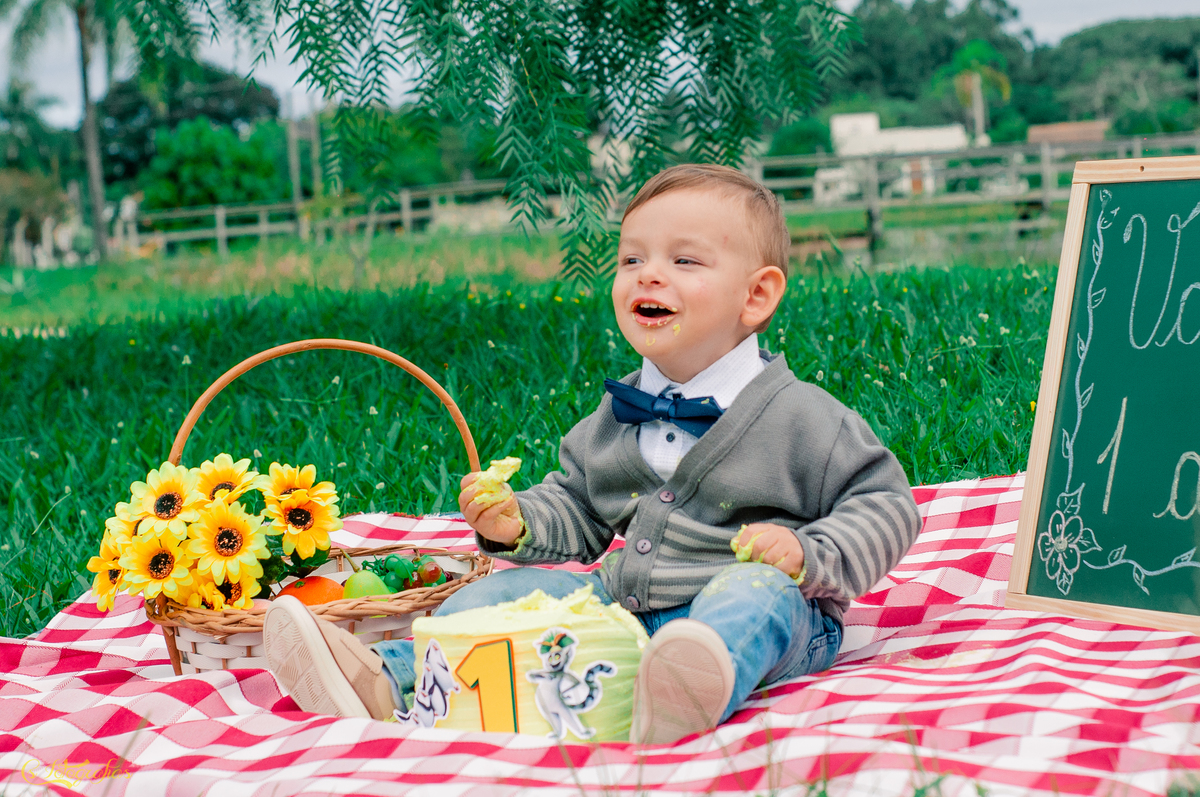 Ensaio Fotográfico Infantil de Smach The Cake no Lago Municipal de Arroio dos Ratos - Valentim