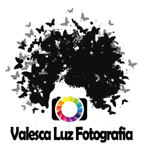 Logotipo de Valesca Silva de Deus