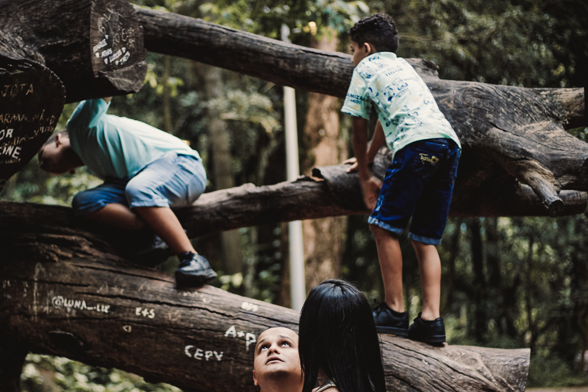 retrato das crianças escalando a arvore