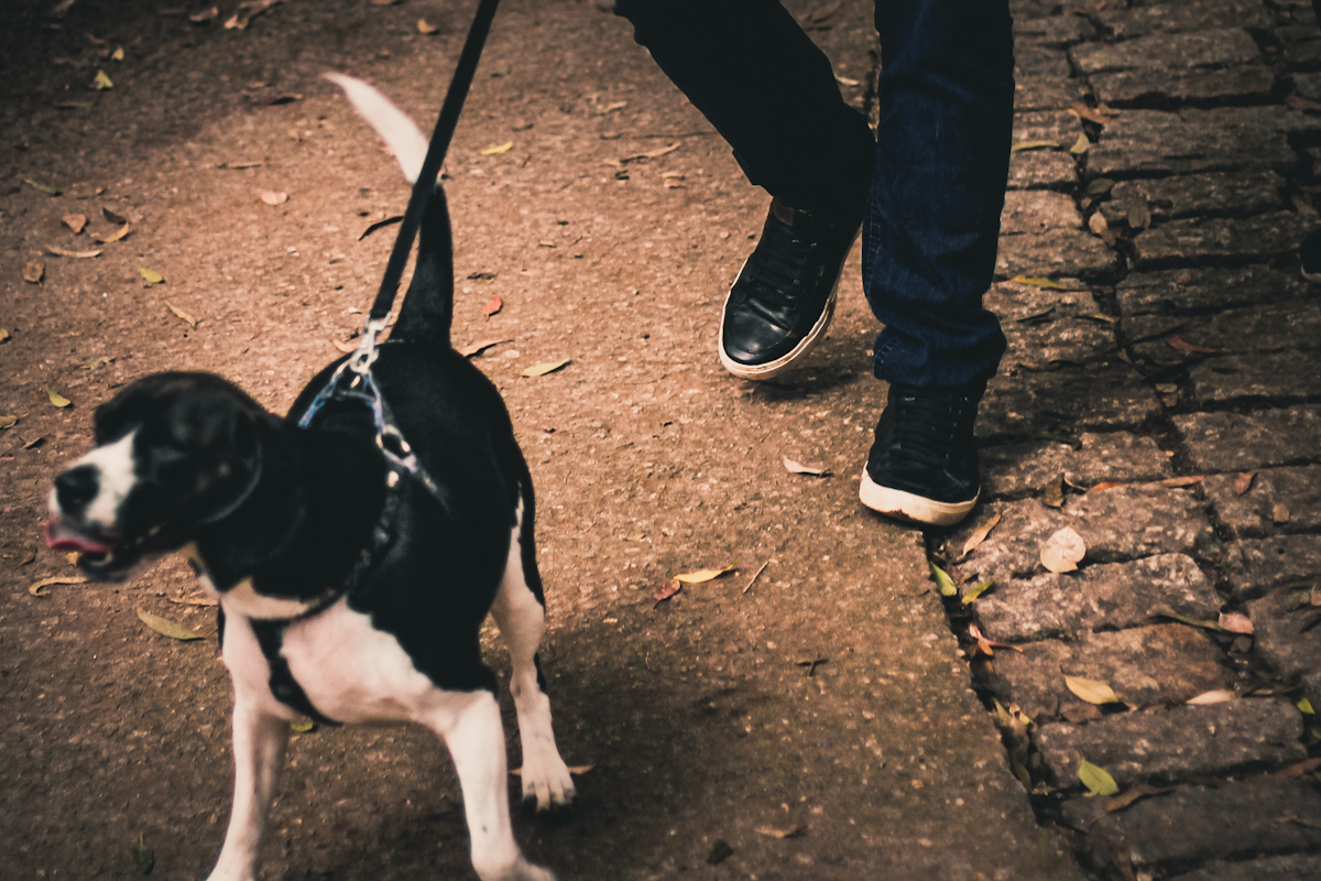 fotografia retrato menina no balanço  
parque celso daniel santo andré são paulo