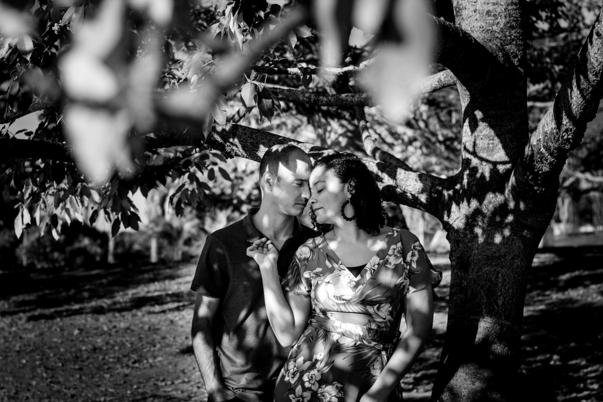 casal em fotos de bodas num parque em baixo de uma árvore  