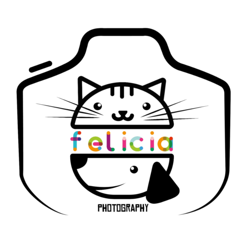 Logotipo de Natalia de Souza