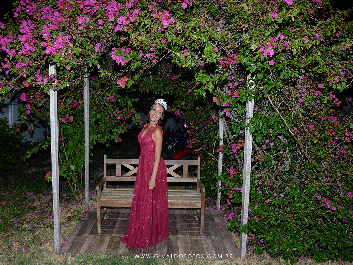 Festa de 15 anos Mary