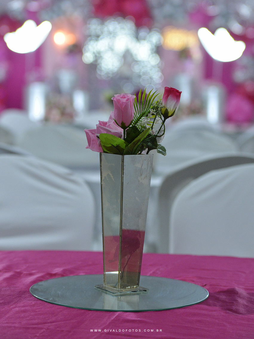 Festa Debutante Ysla Leyva