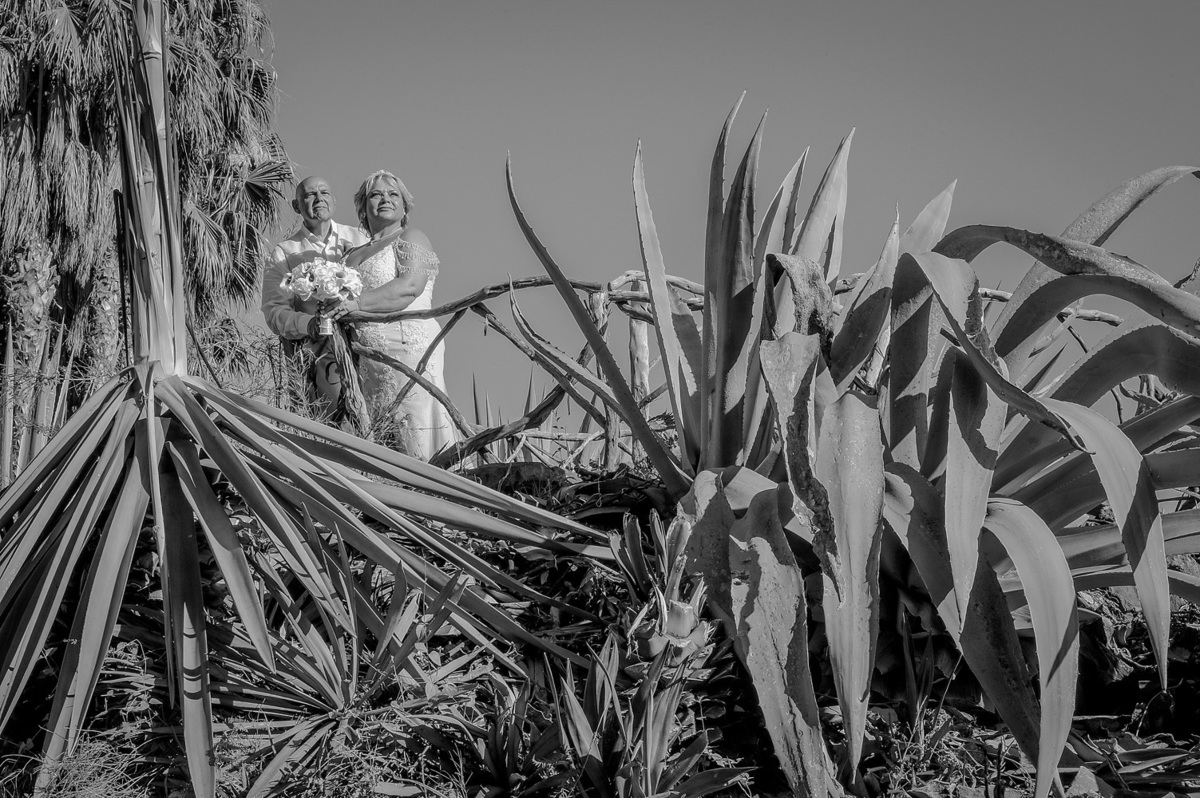CASAMENTO - HOTEL PESTANA GRAND