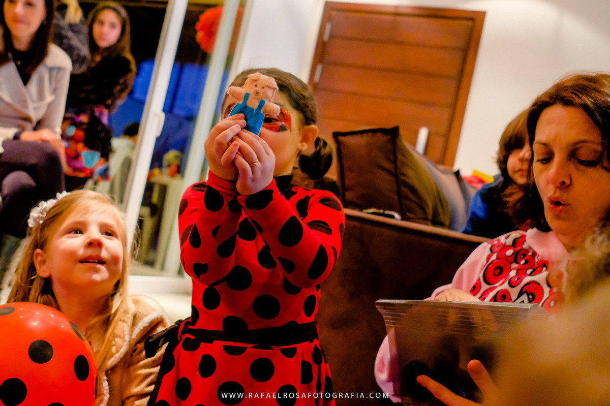 fotografia festa infantil ladybug