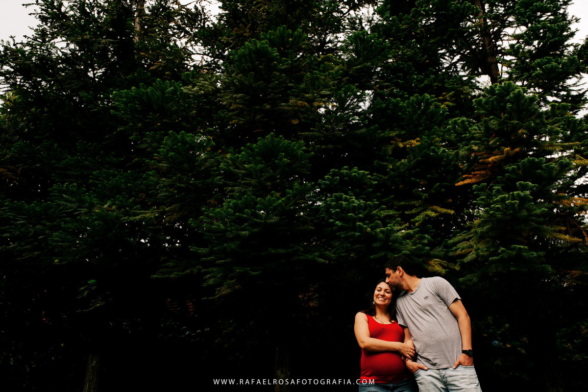 book gestante