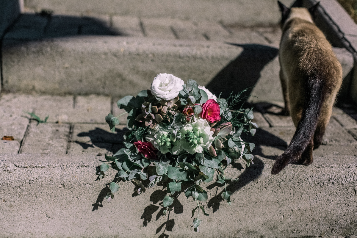 Fotografia casamento curitiba