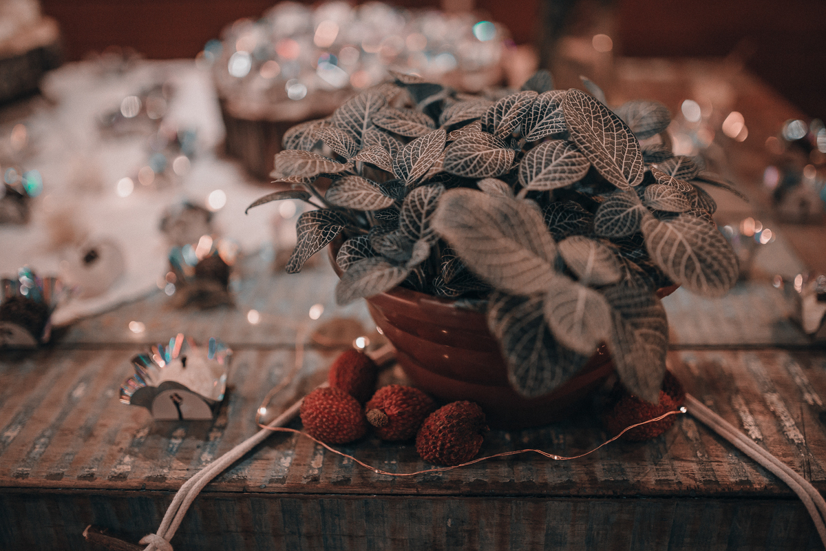 Casamento diurno curitiba, 
casamento no campo, casamento ao ar  livre, Fotografia de casamento Curitiba